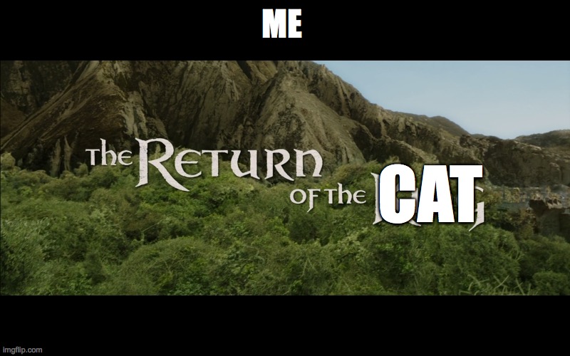 Return Of The King | ME CAT | image tagged in return of the king | made w/ Imgflip meme maker