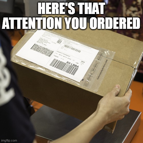 Attention you ordered  | HERE'S THAT ATTENTION YOU ORDERED | image tagged in attention you ordered | made w/ Imgflip meme maker