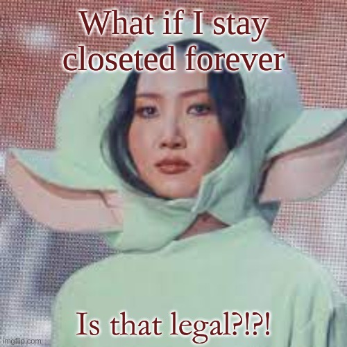 What if I want stay closeted forever (´・ω・`) | What if I stay closeted forever; Is that legal?!?! | image tagged in hwasa is amazing confirmed,lgbtq | made w/ Imgflip meme maker