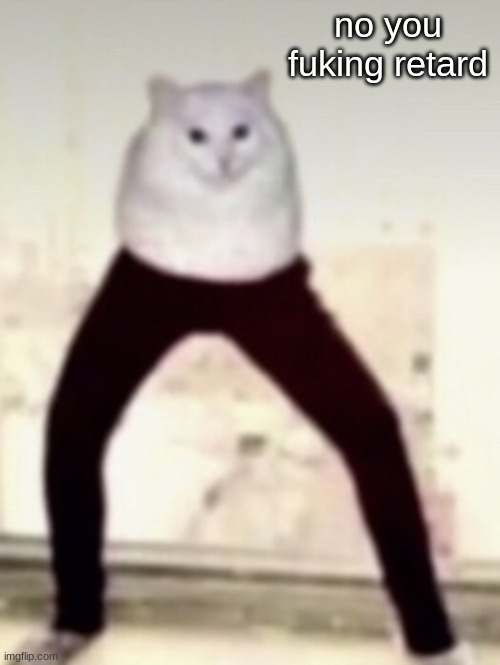 skadoo | no you fuking retard | image tagged in skadoo | made w/ Imgflip meme maker