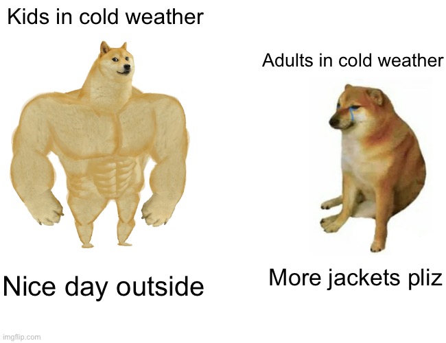 Not entirely sure why. | Kids in cold weather; Adults in cold weather; More jackets pliz; Nice day outside | image tagged in memes,buff doge vs cheems,funny,cats,gifs,video games | made w/ Imgflip meme maker