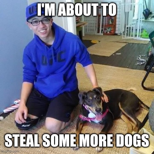 Byron Norwood | I'M ABOUT TO; STEAL SOME MORE DOGS | image tagged in dog thief,funny,dogs | made w/ Imgflip meme maker