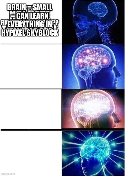 About hypixel skyblock if you can read | EVERYBODY LIKES HYPIXEL BECAUSE THEY HAVE HYPIXEL SKYBLOCK; NOI HATE YOU HYPIXEL; BIG YEAH RIGHT????????????? BRAIN = SMALL = CAN LEARN EVERYTHING IN HYPIXEL SKYBLOCK | image tagged in memes,expanding brain | made w/ Imgflip meme maker
