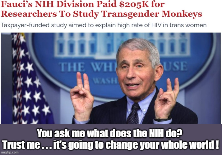 Maybe Fauci Injected Himself with Female Monkey Hormones | You ask me what does the NIH do? 
Trust me . . . it's going to change your whole world ! | image tagged in fauci,transgender,monkees | made w/ Imgflip meme maker