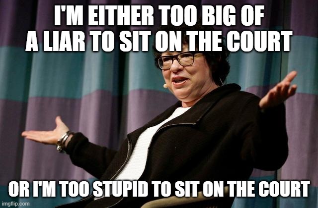 Justice sotomayor | I'M EITHER TOO BIG OF A LIAR TO SIT ON THE COURT; OR I'M TOO STUPID TO SIT ON THE COURT | image tagged in justice sotomayor | made w/ Imgflip meme maker