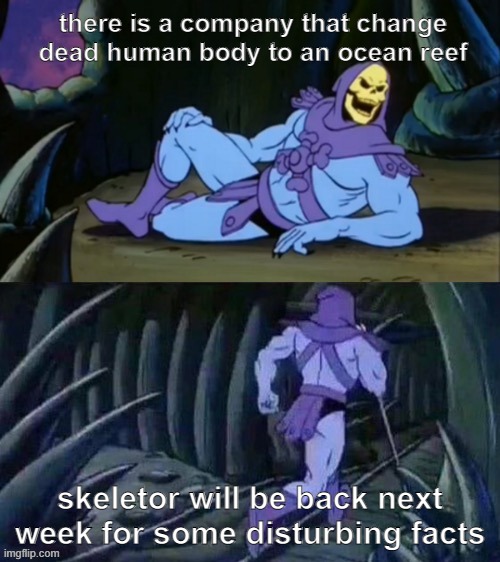 don't believe skeletor? try searching it on google | there is a company that change dead human body to an ocean reef; skeletor will be back next week for some disturbing facts | image tagged in skeletor disturbing facts | made w/ Imgflip meme maker