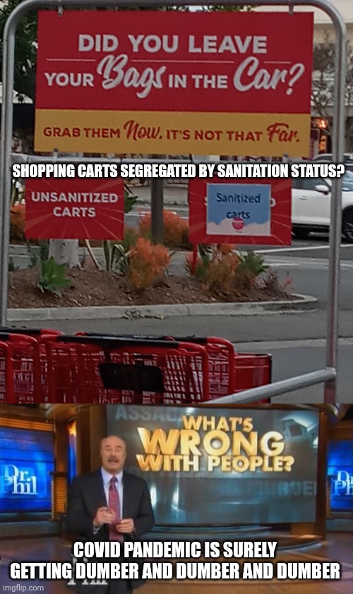 WHERE THE HELL IS SHOPPING CART MLK | SHOPPING CARTS SEGREGATED BY SANITATION STATUS? COVID PANDEMIC IS SURELY GETTING DUMBER AND DUMBER AND DUMBER | image tagged in dr phil what's wrong with people,covid-19,funny,memes | made w/ Imgflip meme maker