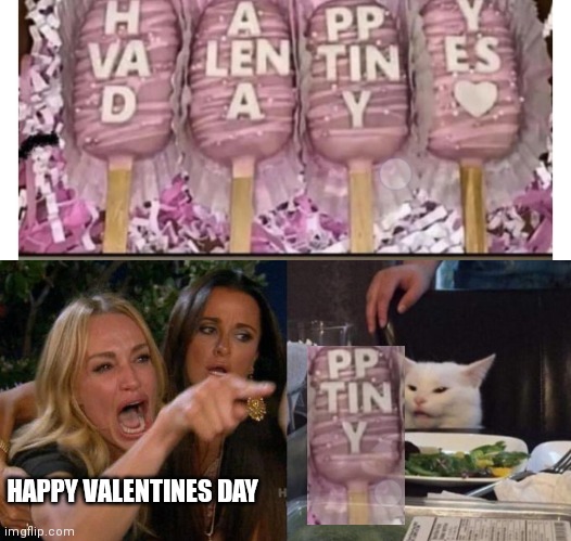 Pp tiny ? | HAPPY VALENTINES DAY | image tagged in memes,woman yelling at cat | made w/ Imgflip meme maker