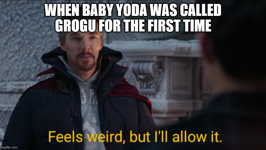 Feels Weird, but I'll Allow It. | WHEN BABY YODA WAS CALLED GROGU FOR THE FIRST TIME | image tagged in feels weird but i'll allow it | made w/ Imgflip meme maker