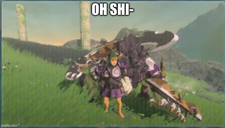 ONE FRAME SLOWER AND HE WOULD HAVE BEEN DEAD | OH SHI- | image tagged in lynel attack | made w/ Imgflip meme maker