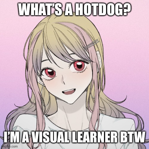 peachytroopa’s new picrew | WHAT’S A HOTDOG? I’M A VISUAL LEARNER BTW | image tagged in peachytroopa s new picrew | made w/ Imgflip meme maker