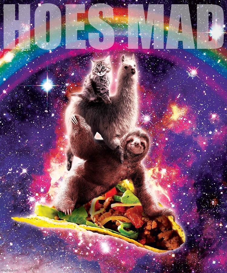 Space cat llama sloth riding a taco | HOES MAD | image tagged in space cat llama sloth riding a taco | made w/ Imgflip meme maker