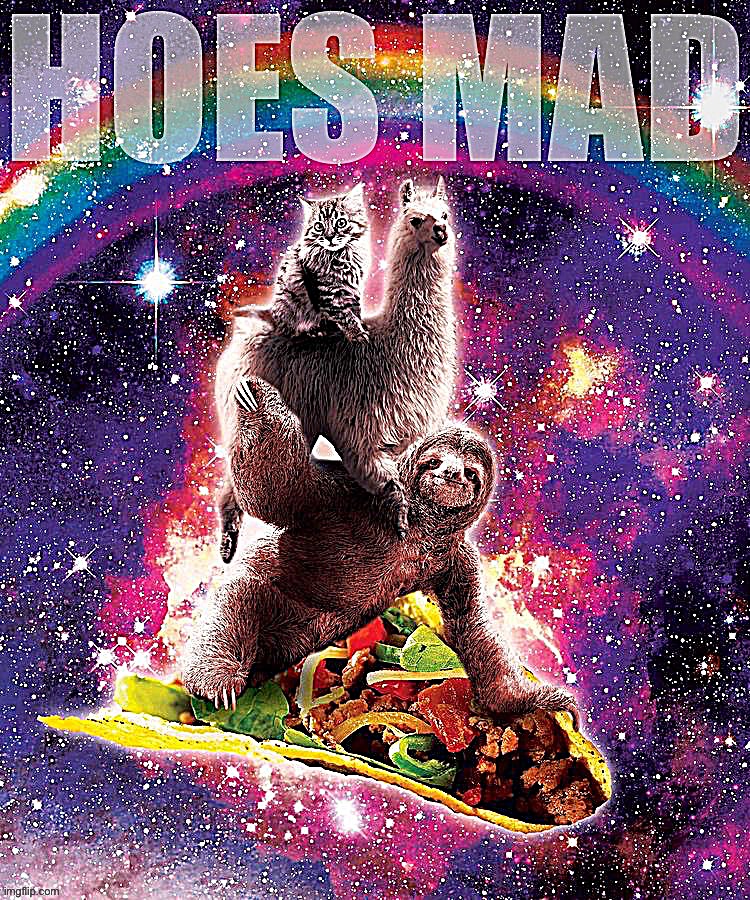 Space sloth taco hoes mad | image tagged in space sloth taco hoes mad | made w/ Imgflip meme maker