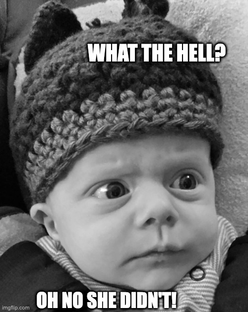 What the Hell! | WHAT THE HELL? OH NO SHE DIDN'T! | image tagged in what the hell | made w/ Imgflip meme maker