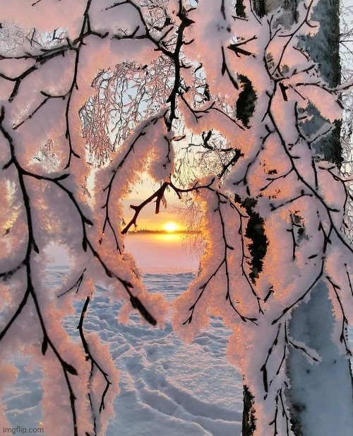 Snowy Sunset | image tagged in snow,sunset,beautiful nature,awesome,photography | made w/ Imgflip meme maker