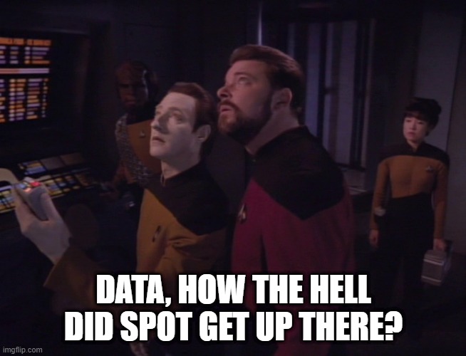 Cat on a Hot Cargo Bay Roof |  DATA, HOW THE HELL DID SPOT GET UP THERE? | image tagged in star trek ng | made w/ Imgflip meme maker