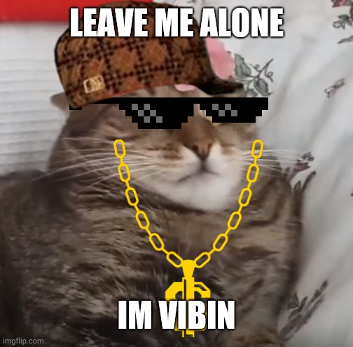 Chill ca | LEAVE ME ALONE; IM VIBIN | image tagged in why are we still here just to suffer every night cat 2,chill,cat | made w/ Imgflip meme maker