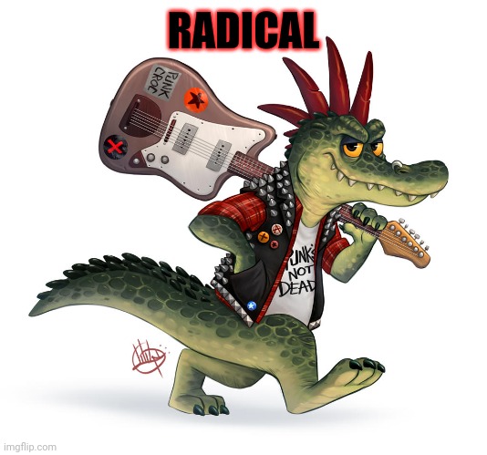 RADICAL | made w/ Imgflip meme maker