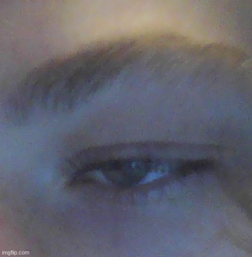 today sucked ass by a majority | made w/ Imgflip meme maker