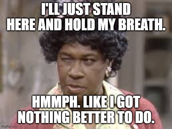 Aunt Esther | I'LL JUST STAND HERE AND HOLD MY BREATH. HMMPH. LIKE I GOT NOTHING BETTER TO DO. | image tagged in aunt esther | made w/ Imgflip meme maker