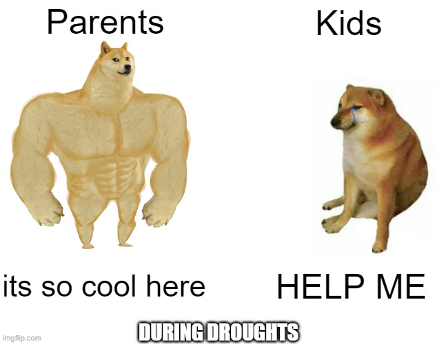 such a clever title, so you better do 10 push ups | Parents; Kids; its so cool here; HELP ME; DURING DROUGHTS | image tagged in memes,buff doge vs cheems | made w/ Imgflip meme maker