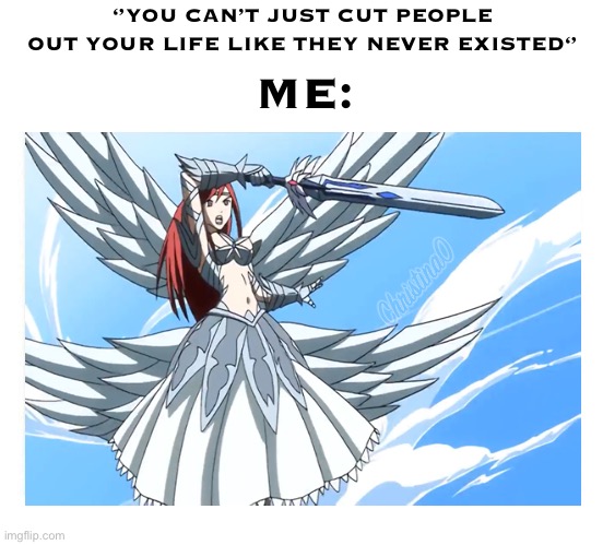 Erza Scarlet - Fairy Tail Meme | ‘’YOU CAN’T JUST CUT PEOPLE OUT YOUR LIFE LIKE THEY NEVER EXISTED‘’; ME: | image tagged in memes,anime,erza scarlet,fairy tail meme,fairy tail,socially awkward | made w/ Imgflip meme maker
