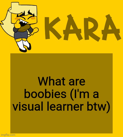 Kara's Meri temp | What are boobies (I'm a visual learner btw) | image tagged in kara's meri temp | made w/ Imgflip meme maker