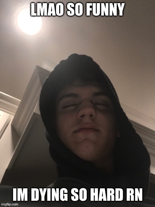 LMAO SO FUNNY; IM DYING SO HARD RN | made w/ Imgflip meme maker