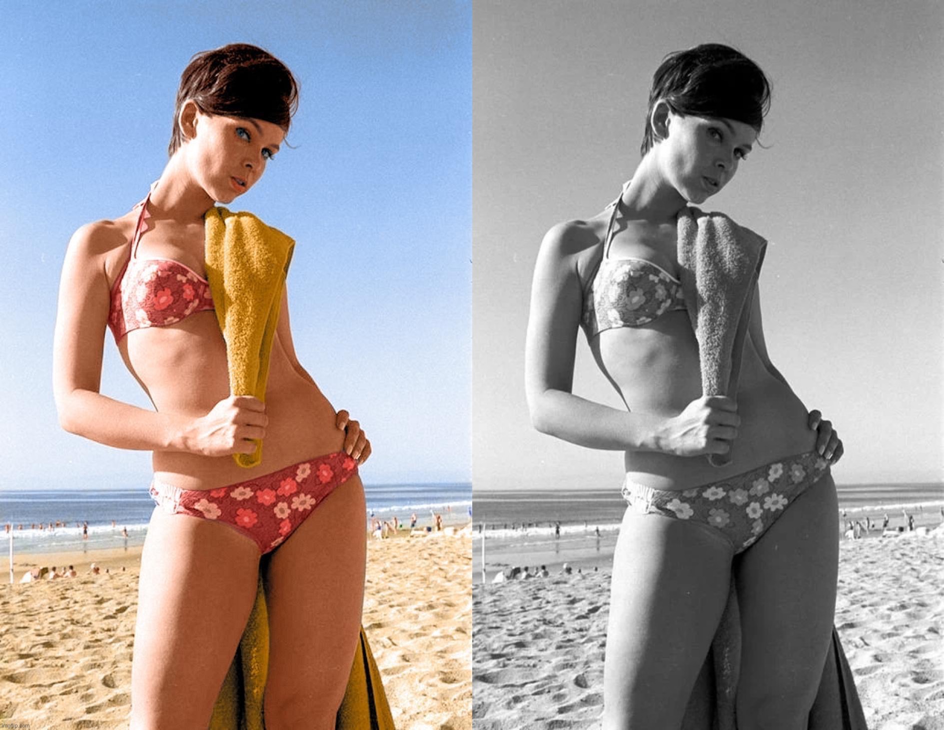 Yvonne Craig Blank Meme Template