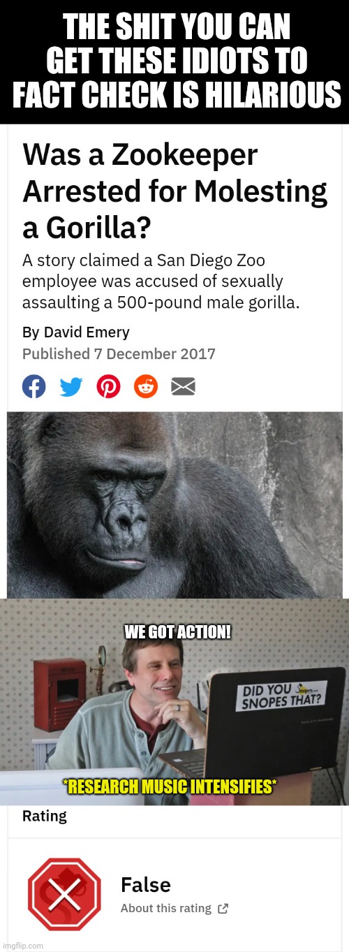 THE SHIT YOU CAN GET THESE IDIOTS TO FACT CHECK IS HILARIOUS; WE GOT ACTION! *RESEARCH MUSIC INTENSIFIES* | image tagged in snopes,fact checkers be like | made w/ Imgflip meme maker