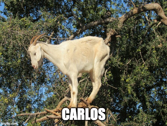 carlos | CARLOS | image tagged in carlos | made w/ Imgflip meme maker