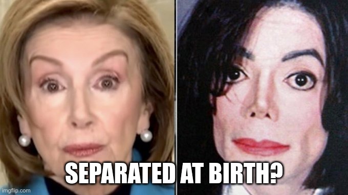 Separated at birth | SEPARATED AT BIRTH? | image tagged in nancy pelosi | made w/ Imgflip meme maker