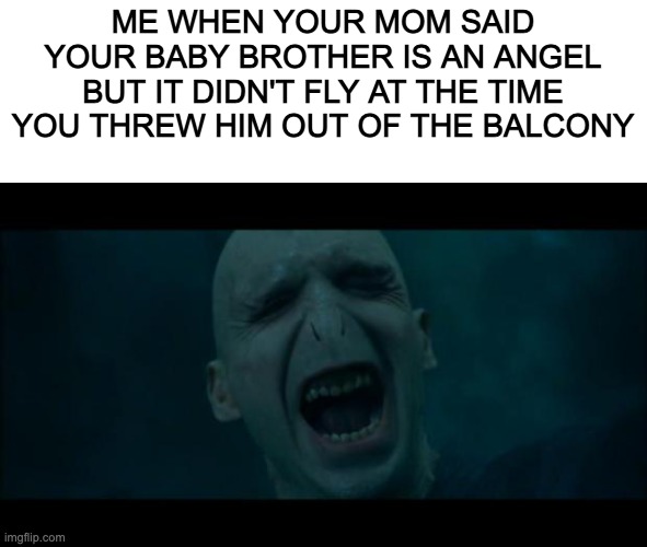 very dark | ME WHEN YOUR MOM SAID YOUR BABY BROTHER IS AN ANGEL BUT IT DIDN'T FLY AT THE TIME YOU THREW HIM OUT OF THE BALCONY | image tagged in voldemort noooooo | made w/ Imgflip meme maker