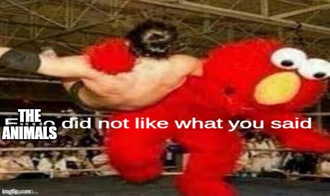 elmo did not like what you said | THE ANIMALS | image tagged in elmo did not like what you said | made w/ Imgflip meme maker