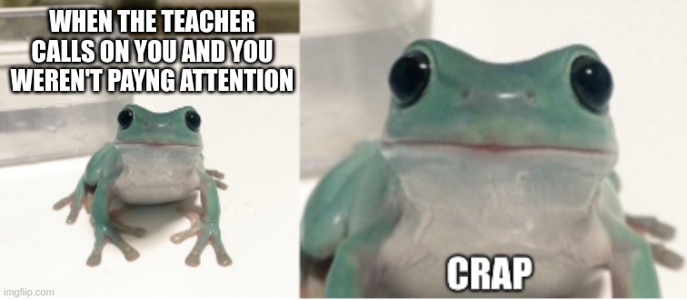 frog | WHEN THE TEACHER CALLS ON YOU AND YOU WEREN'T PAYNG ATTENTION | image tagged in frog | made w/ Imgflip meme maker