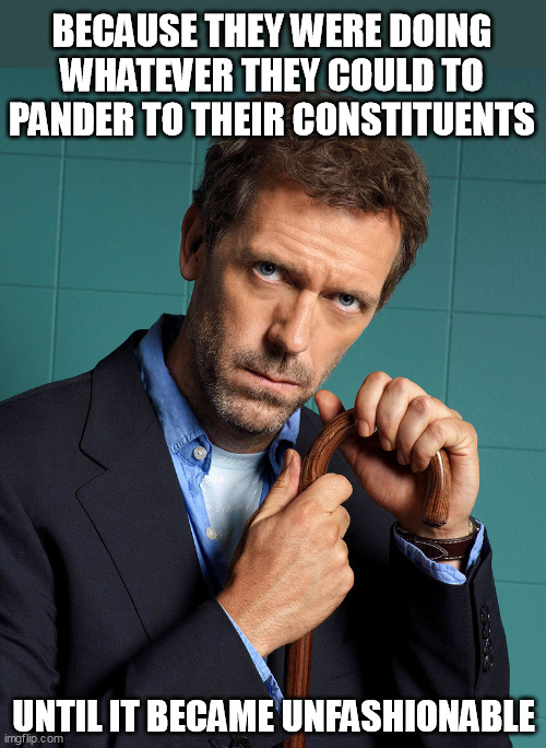 dr house | BECAUSE THEY WERE DOING WHATEVER THEY COULD TO PANDER TO THEIR CONSTITUENTS UNTIL IT BECAME UNFASHIONABLE | image tagged in dr house | made w/ Imgflip meme maker
