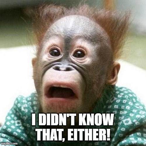 Shocked Monkey | I DIDN'T KNOW THAT, EITHER! | image tagged in shocked monkey | made w/ Imgflip meme maker