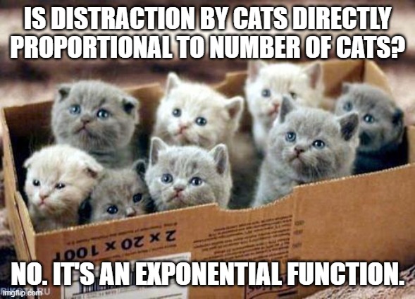 Intro to cat calculus | IS DISTRACTION BY CATS DIRECTLY PROPORTIONAL TO NUMBER OF CATS? NO. IT'S AN EXPONENTIAL FUNCTION. | image tagged in box of cats | made w/ Imgflip meme maker