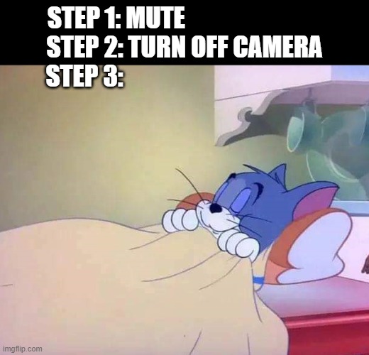 Tom sleeping |  STEP 1: MUTE                            
STEP 2: TURN OFF CAMERA
STEP 3: | image tagged in tom sleeping | made w/ Imgflip meme maker