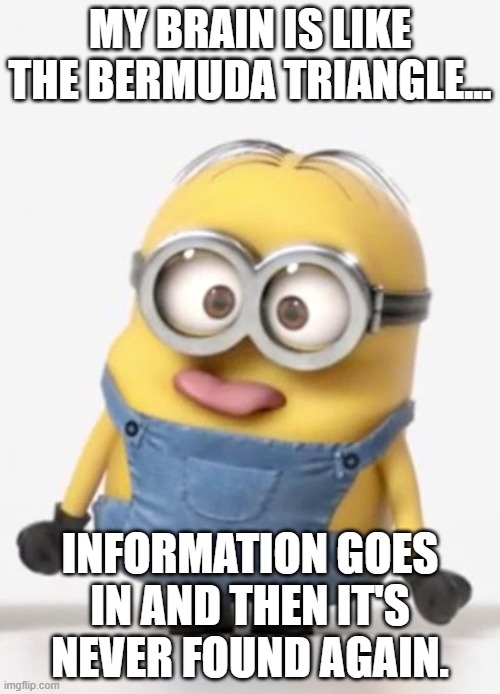 minion sticking tongue out | MY BRAIN IS LIKE THE BERMUDA TRIANGLE... INFORMATION GOES IN AND THEN IT'S NEVER FOUND AGAIN. | image tagged in minion sticking tongue out | made w/ Imgflip meme maker