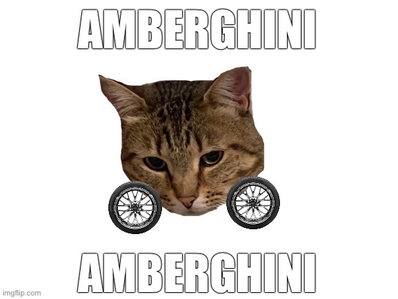 lets goooo | AMBERGHINI; AMBERGHINI | made w/ Imgflip meme maker