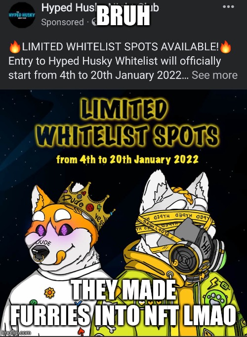 BRUH; THEY MADE FURRIES INTO NFT LMAO | made w/ Imgflip meme maker