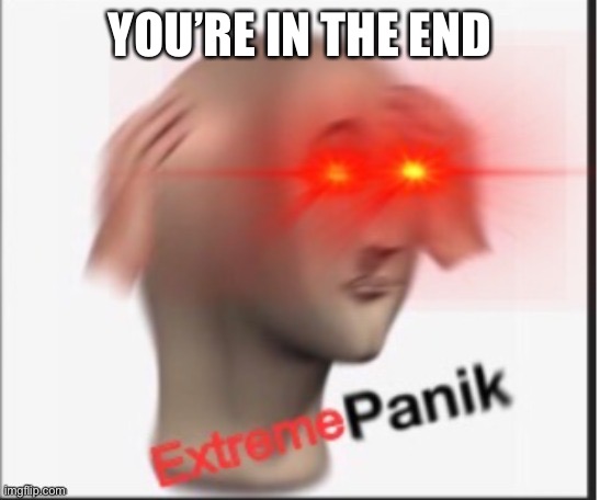 Extreme panik | YOU’RE IN THE END | image tagged in extreme panik | made w/ Imgflip meme maker