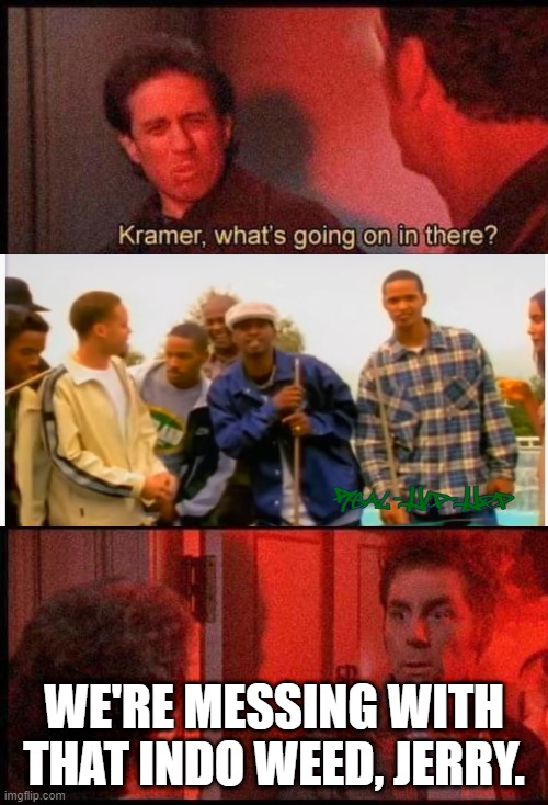 Kramer got 5 on it | WE'RE MESSING WITH THAT INDO WEED, JERRY. | image tagged in kramer what's going on in there | made w/ Imgflip meme maker