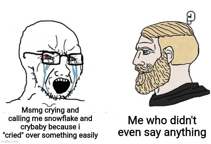 They call me clown or something else, then call me snowflake even if i don't say anything | ? Me who didn't even say anything; Msmg crying and calling me snowflake and crybaby because i "cried" over something easily | image tagged in soyboy vs yes chad | made w/ Imgflip meme maker