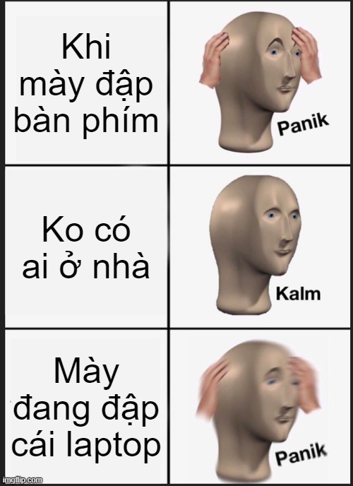 Panik Kalm Panik Meme | Khi mày đập bàn phím; Ko có ai ở nhà; Mày đang đập cái laptop | image tagged in memes,panik kalm panik | made w/ Imgflip meme maker