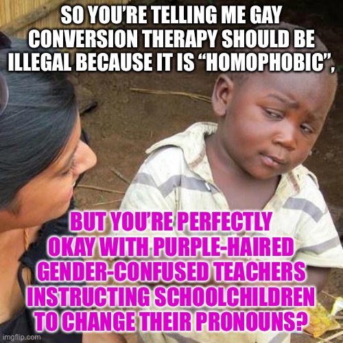 Apparently, conversion therapy is wrong unless a Tik Tok teacher is performing it | SO YOU’RE TELLING ME GAY CONVERSION THERAPY SHOULD BE ILLEGAL BECAUSE IT IS “HOMOPHOBIC”, BUT YOU’RE PERFECTLY
OKAY WITH PURPLE-HAIRED
GENDER-CONFUSED TEACHERS
INSTRUCTING SCHOOLCHILDREN
TO CHANGE THEIR PRONOUNS? | image tagged in memes,third world skeptical kid,tik tok,gender identity,pronouns,therapy | made w/ Imgflip meme maker