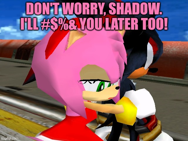 Amy cheated on shadow again... | DON'T WORRY, SHADOW. I'LL #$%& YOU LATER TOO! | image tagged in sexy amy rose,shadow,sonic the hedgehog,sonicexe | made w/ Imgflip meme maker