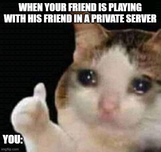 sad thumbs up cat | WHEN YOUR FRIEND IS PLAYING WITH HIS FRIEND IN A PRIVATE SERVER; YOU: | image tagged in sad thumbs up cat | made w/ Imgflip meme maker