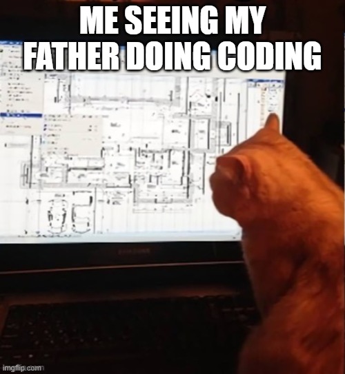 calculating cat | ME SEEING MY FATHER DOING CODING | image tagged in calculating cat | made w/ Imgflip meme maker